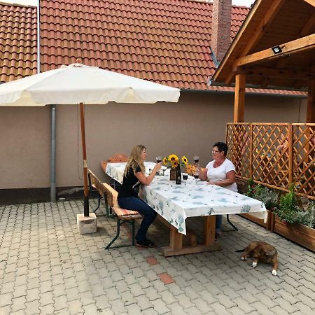 S'Schnoganeschd Villa Nemesvid Exteriör bild