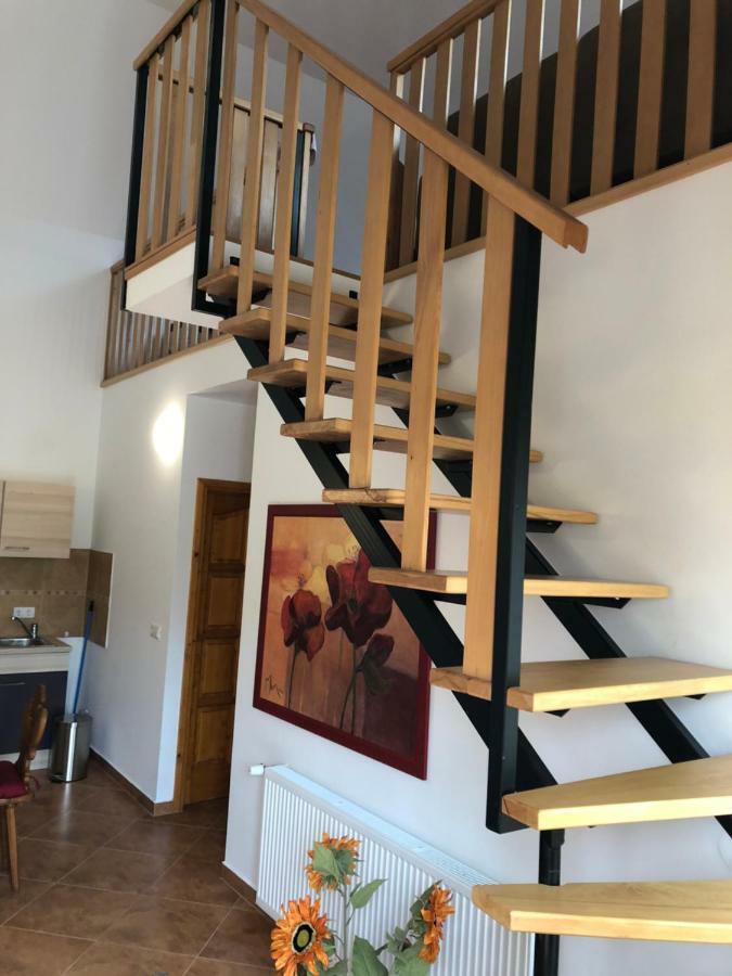 S'Schnoganeschd Villa Nemesvid Exteriör bild