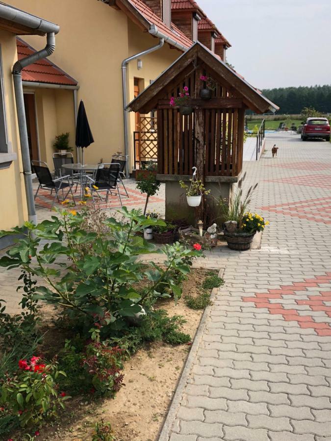 S'Schnoganeschd Villa Nemesvid Exteriör bild