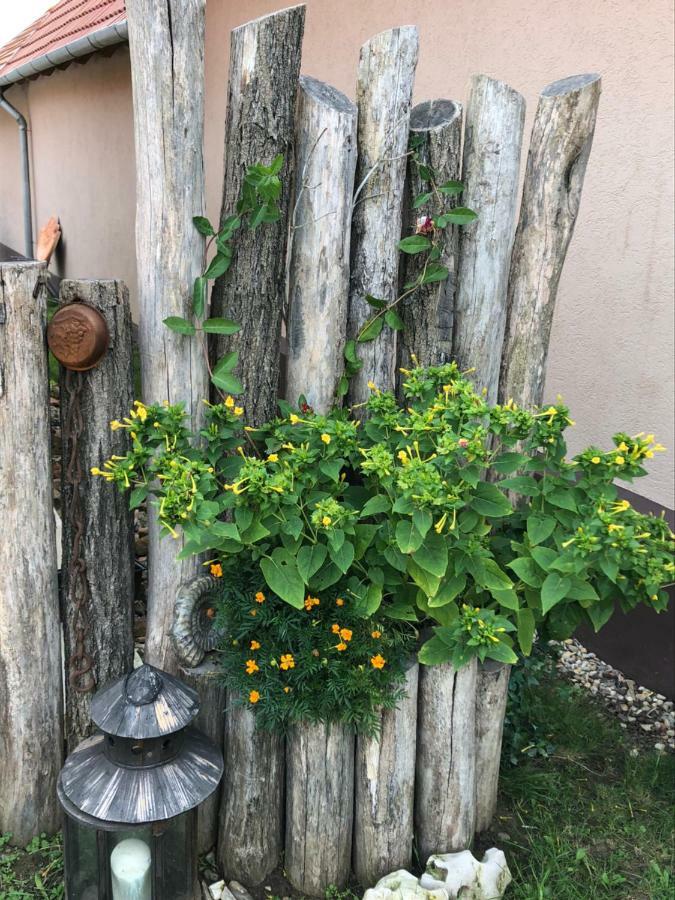S'Schnoganeschd Villa Nemesvid Exteriör bild