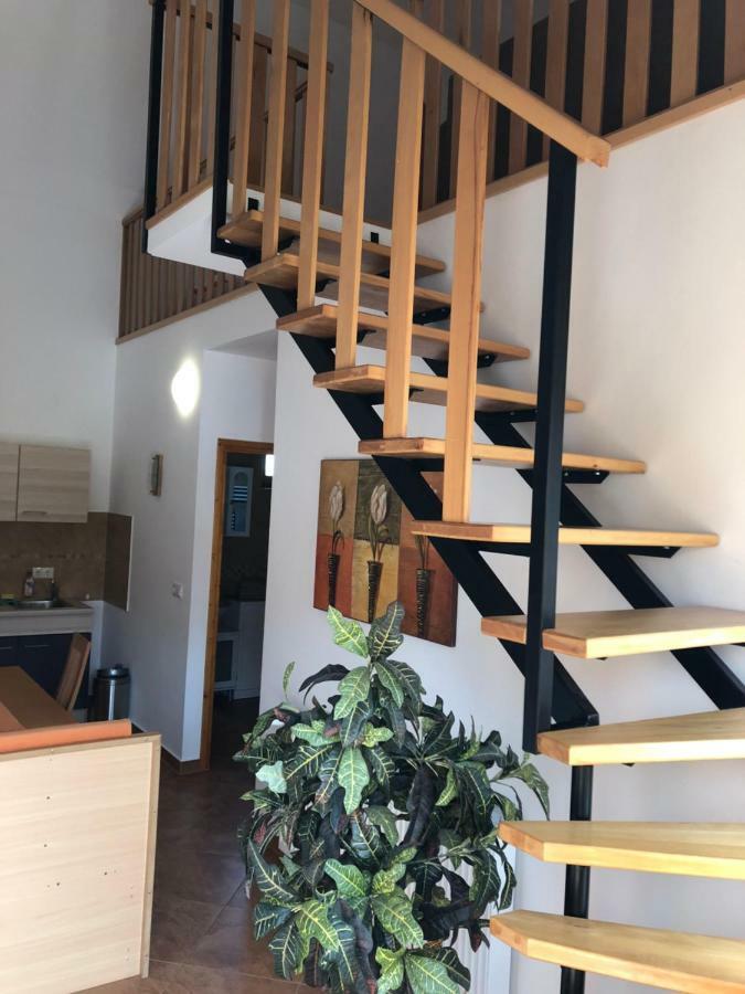 S'Schnoganeschd Villa Nemesvid Exteriör bild